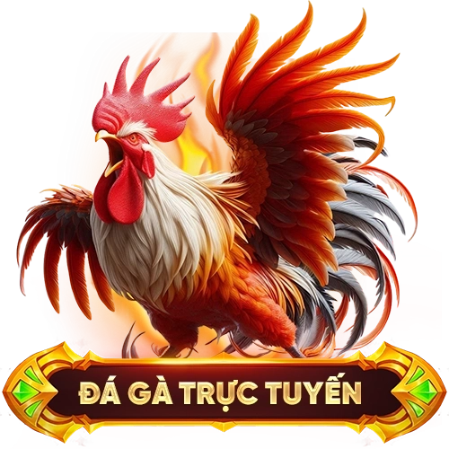 đá gà trực tuyến FUN88